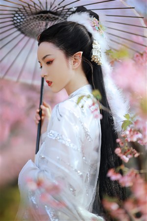 《来自公园的女孩》完整版